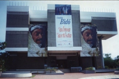 Bajante-14