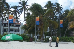 Street-Banners-2