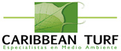 1997
